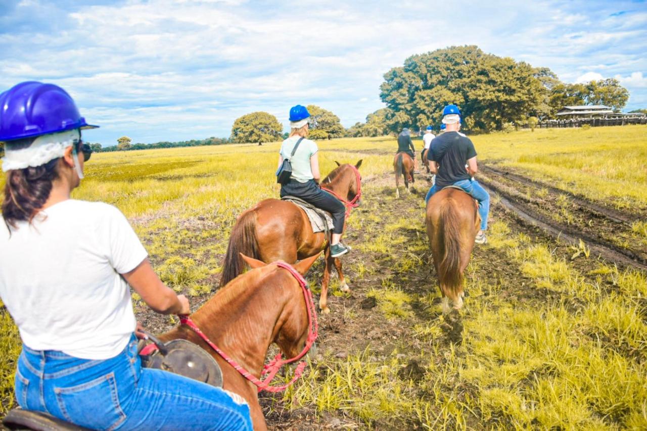Sao Joao - Estrada Parque Pantanal Farm stay *