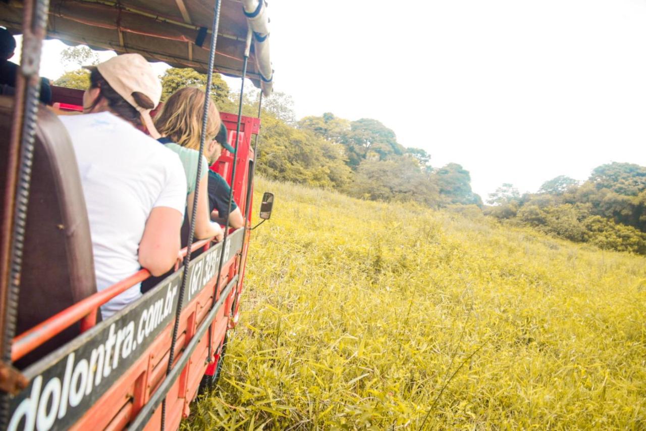 Farm stay Sao Joao - Estrada Parque Pantanal Passo do Lontra