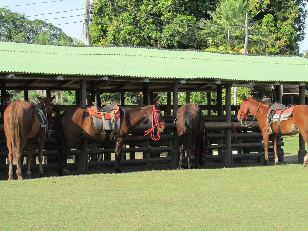 Sao Joao - Estrada Parque Pantanal Farm stay *