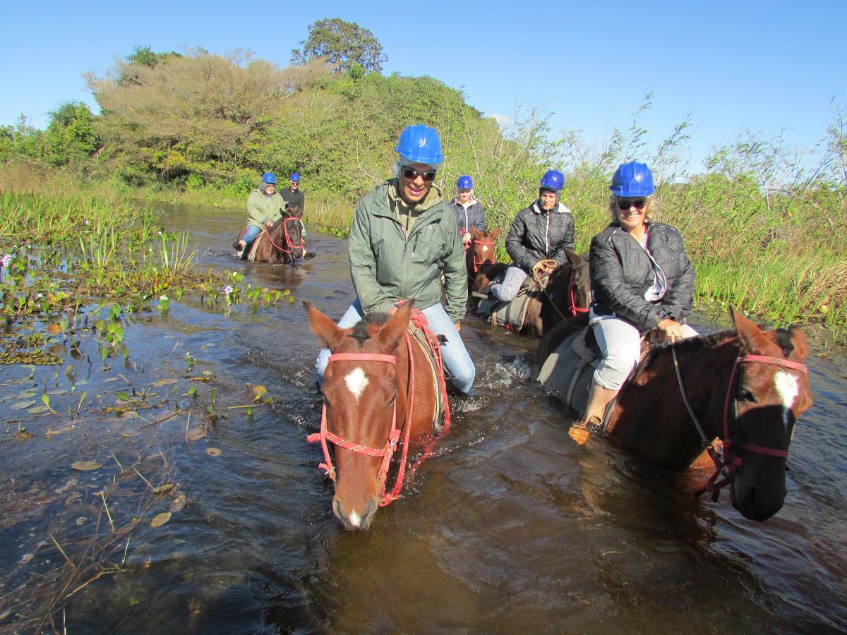 Farm stay Sao Joao - Estrada Parque Pantanal *