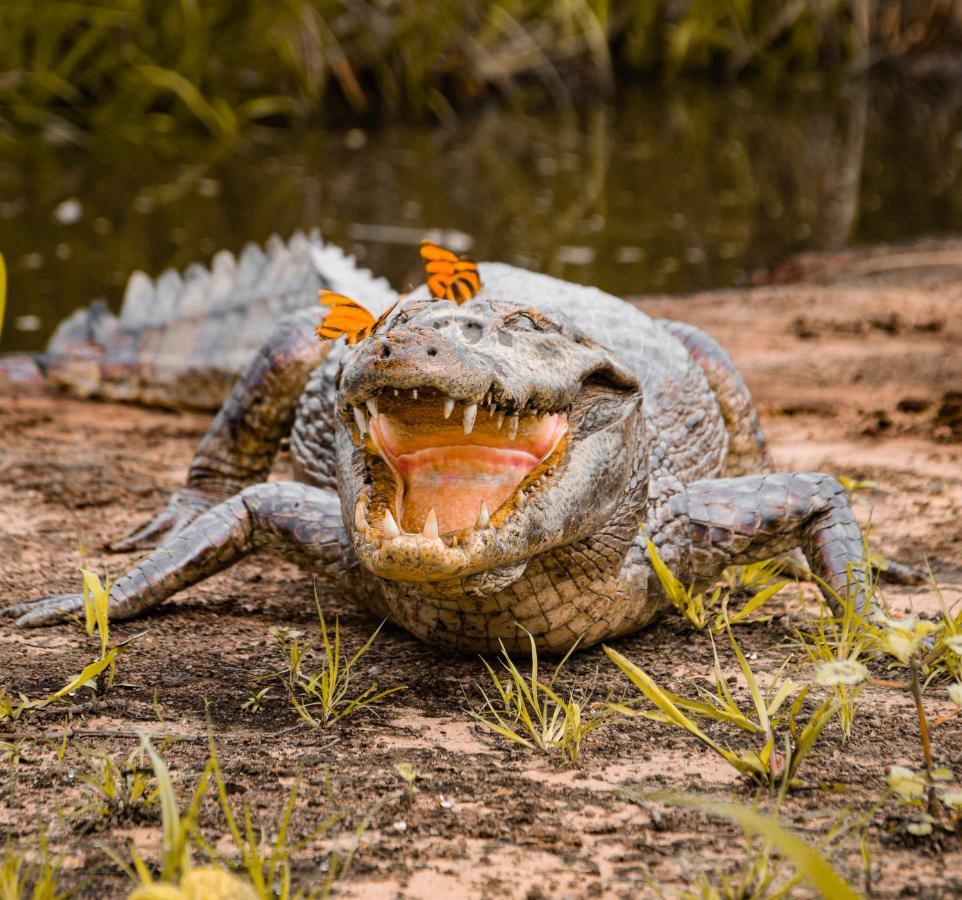 農家樂 Sao Joao - Estrada Parque Pantanal *