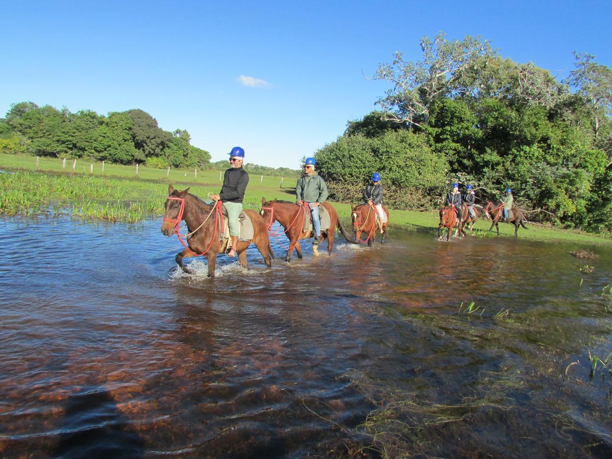 Sao Joao - Estrada Parque Pantanal 農家樂 *